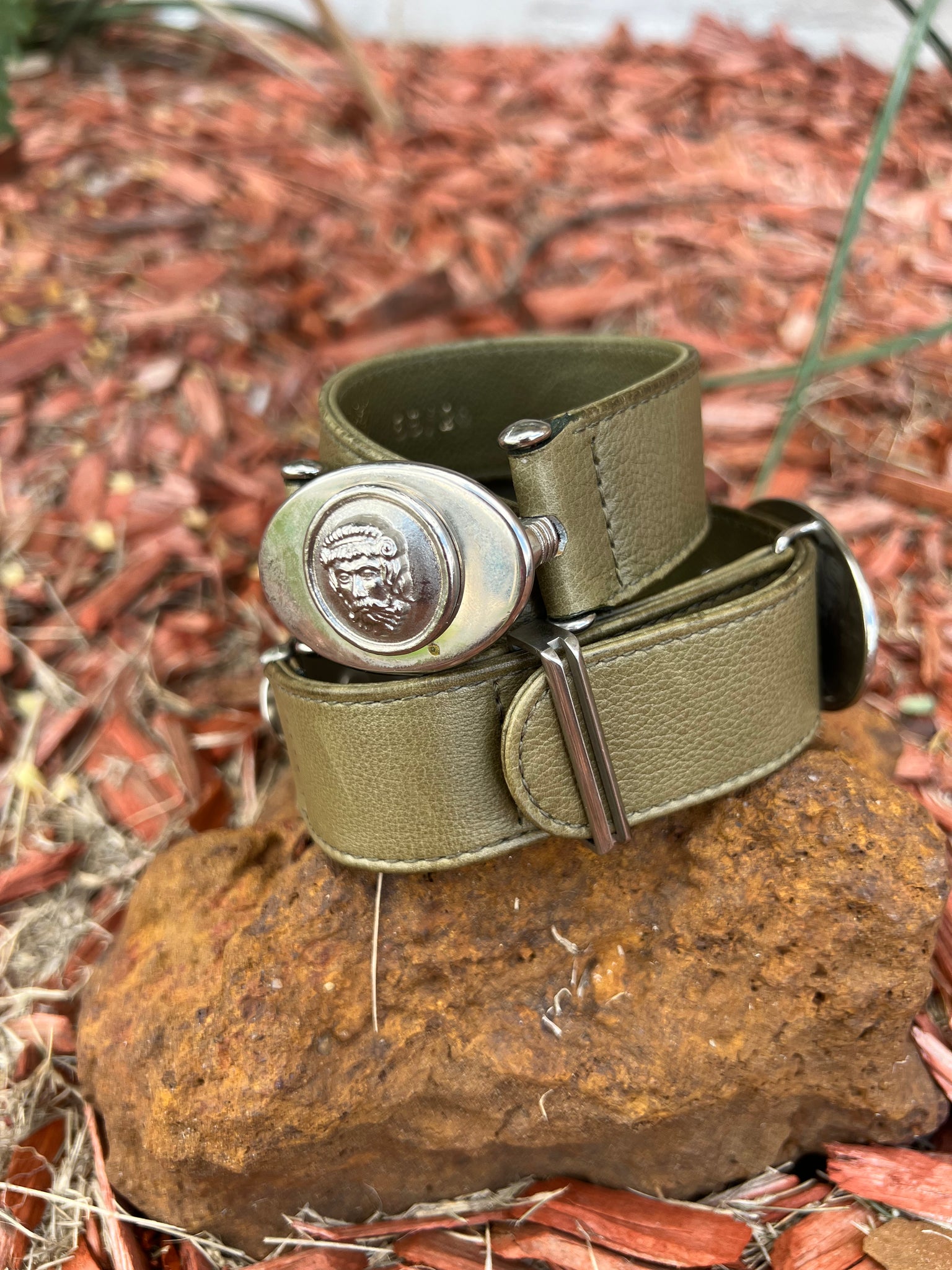 Vintage RARE 90s Isante by Gianni Versace Zeus Head Olive Green Vintage RARE 90s Isante by Gianni Versace Zeus Head Olive Green